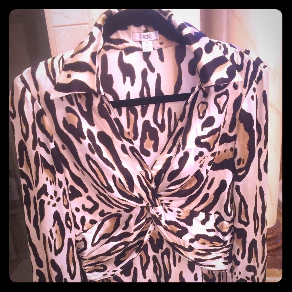 Beauty silk blouse